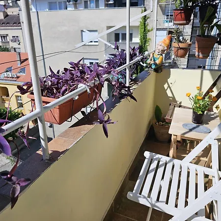 Didi Apartman