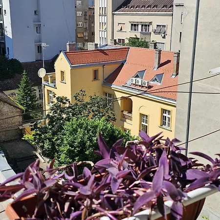 Apartment Didi *