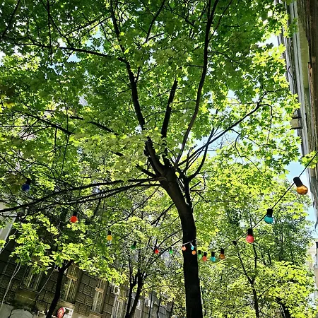 Didi Apartman